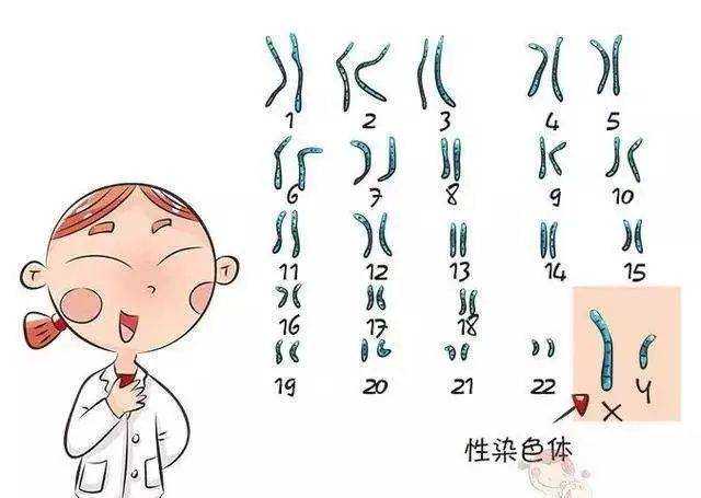 在上海九院生殖科申请供精助孕要排队等吗