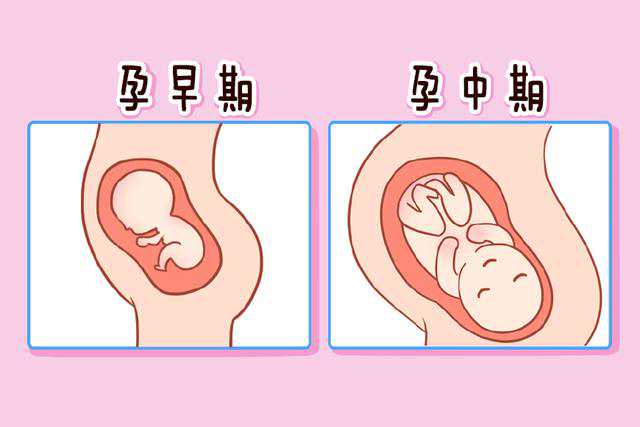 杭州试管哪个医院最好，上海第九人民医院试管婴儿专家（上海第九人民医院试